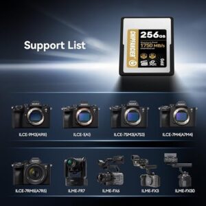 256GB CFexpress 4.0 Type A Card Up to 1750MB/s Read Speed & 1750MB/s Write Speed Type A Memory Card for RAW 4K/8K Video Recording Compatible with Sony Alpha Sony FX Cameras Gold