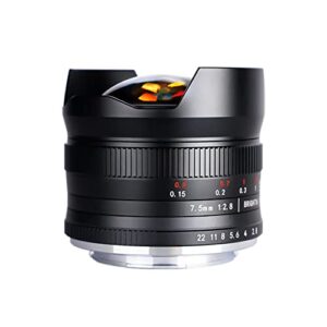 7.5mm F2.8 III Wide Angle Fisheye Lens for Panasonic LUMIX,Olympus Micro 4/3 Mount Mirrorless Cameras, Manual Focus Prime APS-C Lens Fit for G7, GX85, GX9, G95, GH5, GH6, G100, G9