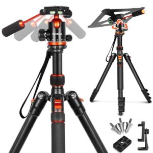 Camera Tripods & Projector Stand, 2 in1 Tripod for Camera with Removable Metal Tray, Heavy Duty Tripod for DSLR. Projector. Sheet Music and Tablet, Extra Metal Spikes and Carry Bag.