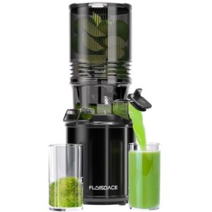 Cold Press Juicer – Hands-Free Electric Masticating Juicer Machine with 6.5″ Large Feed Chute, 350W Masticating Juicer Machine For More Juice, Less Pulp, High Juice Yield – Easy Cleanup & Assembly