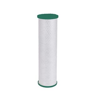 GE FTHLM Whole House Water Filter | Replacement for Water Filtration System | NSF Certified: Reduces Chlorine, Sediment, Rust & Other Impurities | Replace Every 3 Months for Best Results | 1 Filter
