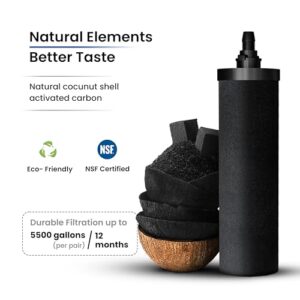 3.25 Gallons NSF Certified AISI 304 Stainless Steel Water Filter with 2 Smart Carbon (Black) Filters, 2 POSTreat Steel Fluoride Removal Elements & Free Stainless Steel Spigot