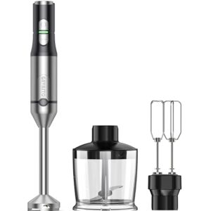 Immersion Blender RPM 16000±10% Hand Blender,15 Speed and Turbo Mode Hand Mixer, 3-in-1 Heavy Duty Copper Motor Stainless Steel Smart Stick with Egg Beaters and Chopper