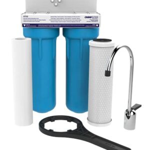 Pentair OMNIFIlter OT32 Water Filtration System, 10″ Premium Dual-Stage Undersink Filter System, NSF Certified to Reduce PFOA/PFOS, Includes Dual Housings, RS14 and CB3 Cartridges and All Hardware