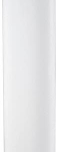 Pentair Pentek RFFE20-BB Big Blue Water Filter, 20-Inch, Whole House Radial Flow Iron Reduction Replacement Cartridge, 20″ x 4.5″, White