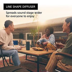 Sony SRS-XE300 X-Series Wireless Portable-Bluetooth-Speaker, IP67 Waterproof, Dustproof and Shockproof with 24 Hour Battery, Blue
