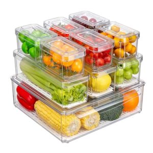 10-Pack Fridge Organizer – Stackable Refrigerator Storage Bins with Lids – BPA-Free Clear Fruit Storage Containers for Vegetables, Food & Drinks