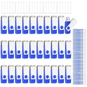 EASTBULL 50 Pack of Flash Drives Bulk 4GB, USB 2.0 Flash Drives Pack USB Drives Bulk Thumb Drives in Bulk with 50 Strings (4 GB)