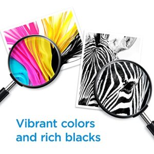 HP 67 Black/Tri-color Ink Cartridges for HP Printers | Works with Printer Series: DeskJet 1255, 2700, 4100; ENVY 6000, 6400 | Eligible for Instant Ink | 3YP29AN