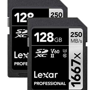 Lexar 128GB (2-Pack) Professional 1667x SD Card, UHS-II, C10, U3, V60, Full HD, 4K, Up To 250MB/s Read SDXC Memory Card, for Professional Photographer, Videographer, Enthusiast (LSD128CBNA16672)