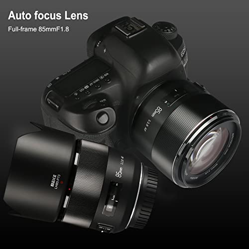 Meike 85mm F1.8 Full Frame Auto Focus Medium-Telephoto Portrait Lens Compatible with Canon EOS EF Mount Digital SLR Cameras 5D Mark IV 6D Mark II - Image 4