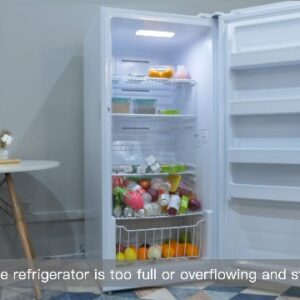 Midea MERM33S1AST 3.3 Cubic Feet Compact Refrigerator, Silver