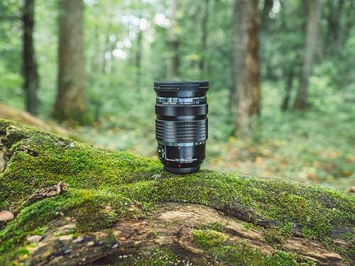 Olympus OM System M.Zuiko Digital ED 12 to 100mm F4.0 is PRO Lens with Professional High Magnification Zoom and Weatherproof Construction - Image 4