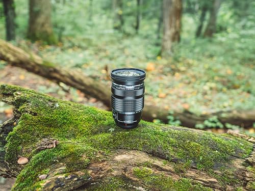 Olympus OM System M.Zuiko Digital ED 12 to 100mm F4.0 is PRO Lens with Professional High Magnification Zoom and Weatherproof Construction - Image 6