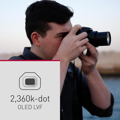 Panasonic LUMIX FZ80D 18.1MP Point & Shoot Digital Camera Bundle with Slinger Alpine 140 Multi-Device Shoulder Bag, SanDisk Ultra 32GB UHS-I SDHC Memory Card - Image 7