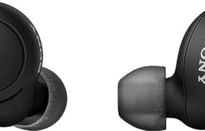 Sony True Wireless Headphones | Up to 20 Hours Battery | Charging Case | Voice A
